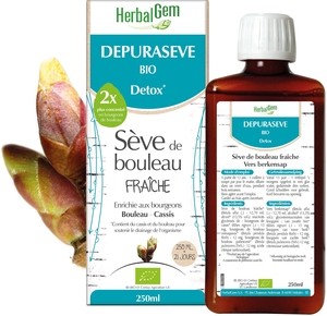Herbalgem Depurasive Bio Détox 250ml
