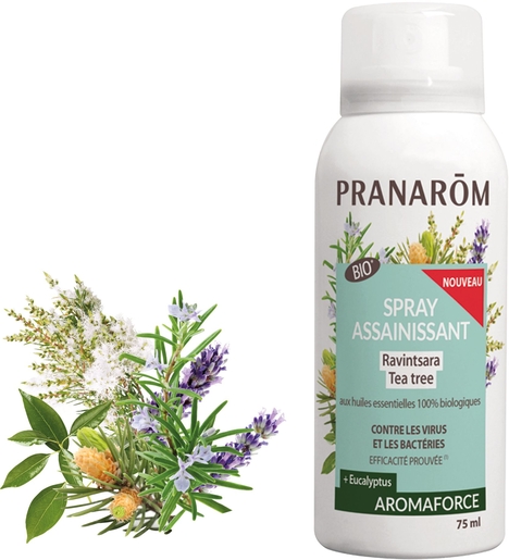 Pranarôm Aromaforce Spray Assainissant Ravintsara Eucalyptus Bio 75ml | Nos Best-sellers