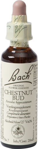 Bach Flower Remedie 07 Chestnut Bud 20ml | Désintérêt