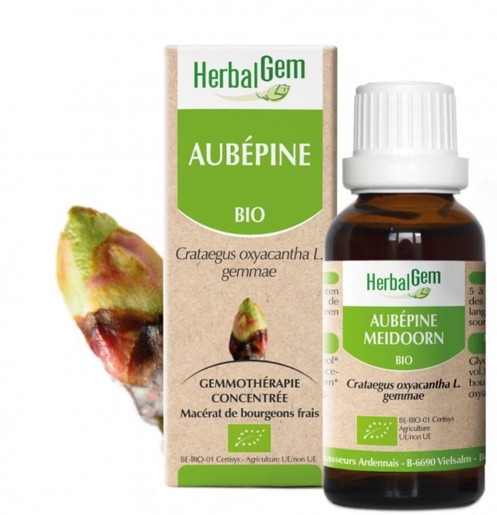 Herbalgem Aubepine Bio 30ml | Macérats-mère unitaires