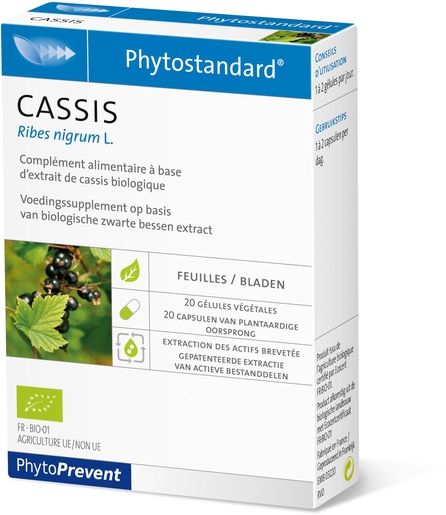 Phytostandard Cassis 20 Capsules | Articulations - Muscles